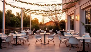 Rent chairs and tables for a stylish outdoor event setup featuring elegant furnishings.