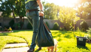 Dog clean up service technician picking up pet waste in a sunny backyard setting.