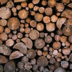 Wood Pellets for Sale – Home & Industrial Use